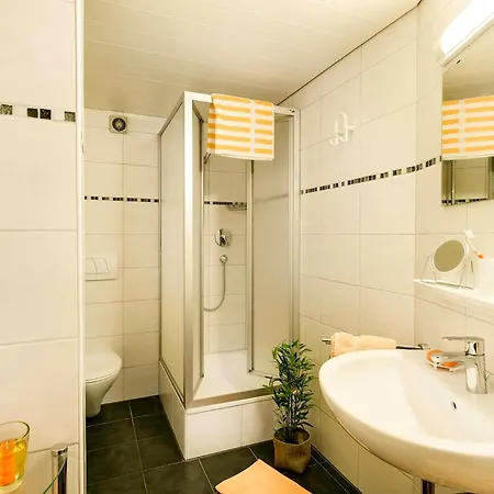 Guest house Bachtelmuehle *
