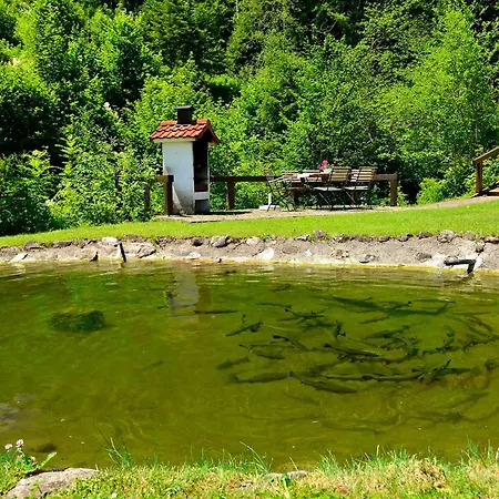 Bachtelmuehle